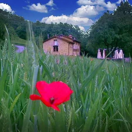 La Cartiera Dei Benandanti Alloggio per agriturismo