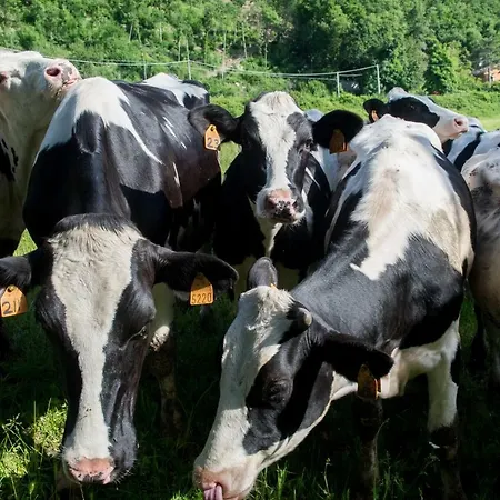 Alloggio per agriturismo La Cartiera Dei Benandanti