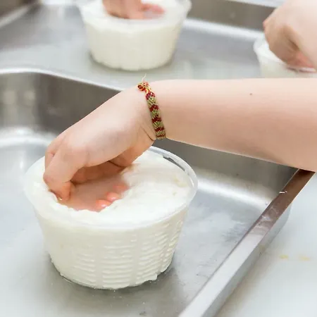 La Cartiera Dei Benandanti Alloggio per agriturismo