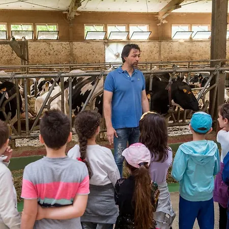 La Cartiera Dei Benandanti * Monghidoro