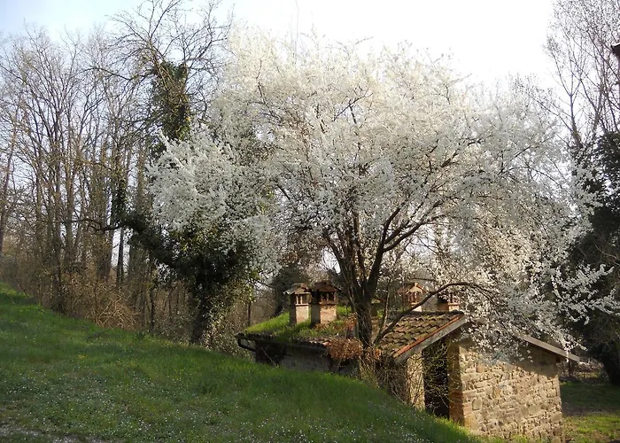 La Cartiera Dei Benandanti Lantgård *