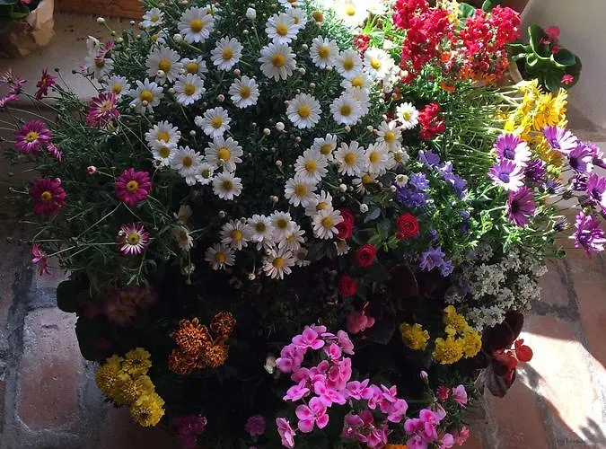 La Cartiera Dei Benandanti Lantgård Monghidoro