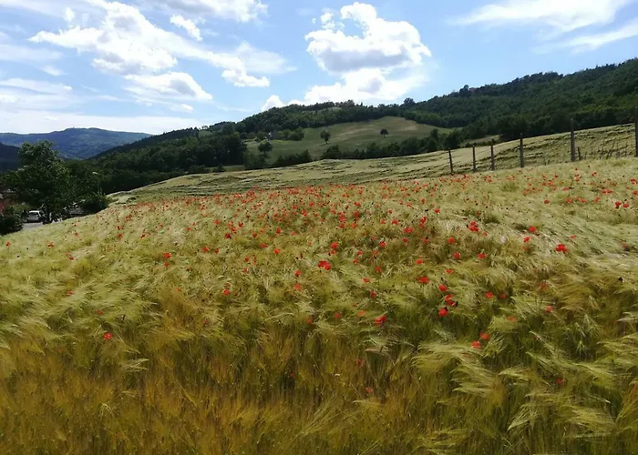 Alojamento de Turismo Rural La Cartiera Dei Benandanti *