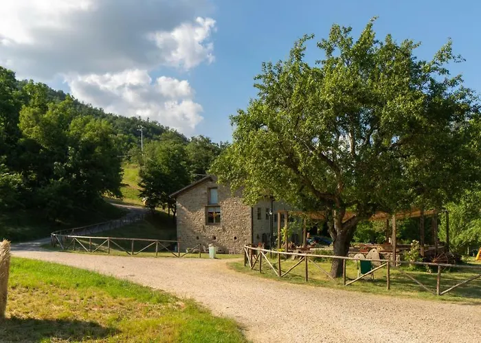 La Cartiera Dei Benandanti *