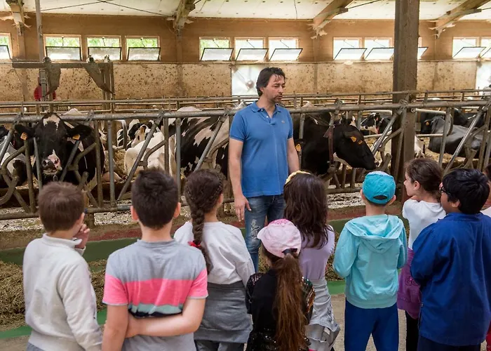 La Cartiera Dei Benandanti * Monghidoro