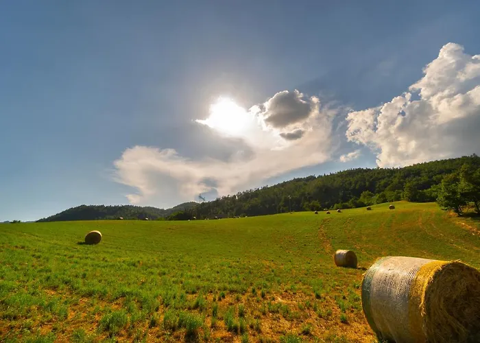La Cartiera Dei Benandanti