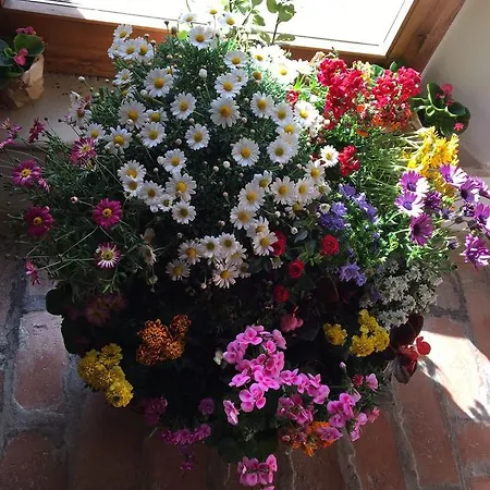 La Cartiera Dei Benandanti Farma Monghidoro