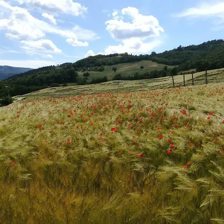 Bauernhof La Cartiera Dei Benandanti *