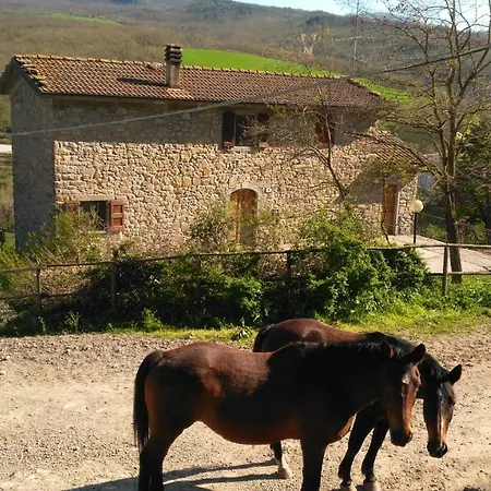 La Cartiera Dei Benandanti * Monghidoro