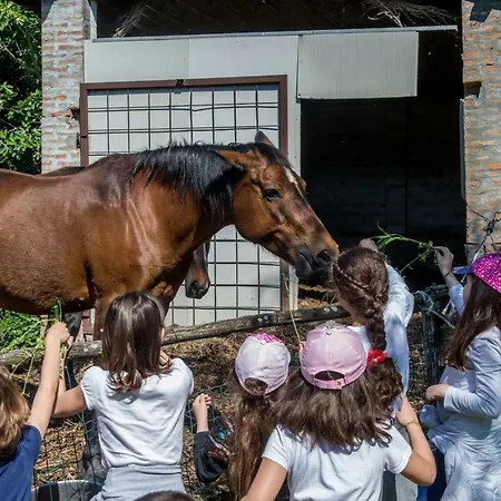 Alloggio per agriturismo La Cartiera Dei Benandanti