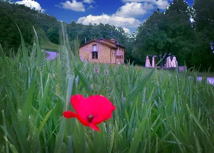 La Cartiera Dei Benandanti Κατάλυμα σε φάρμα