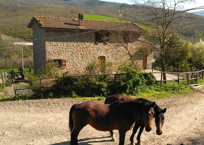 La Cartiera Dei Benandanti * Monghidoro