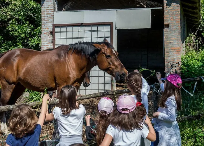 Κατάλυμα σε φάρμα La Cartiera Dei Benandanti